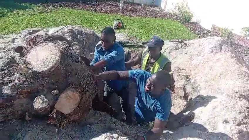 Rubble removal job in the Vaal Triangle — recent project 3
